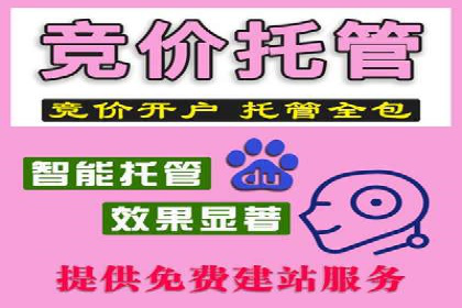 案例分析：百度推广优化，打造高效广告投放